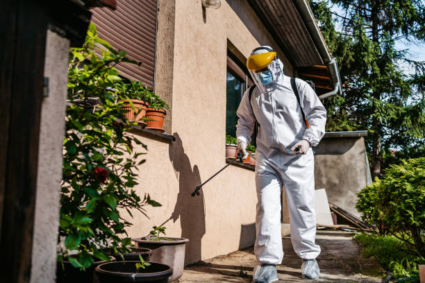 Best Emergency Pest Control  in Lyons, CO