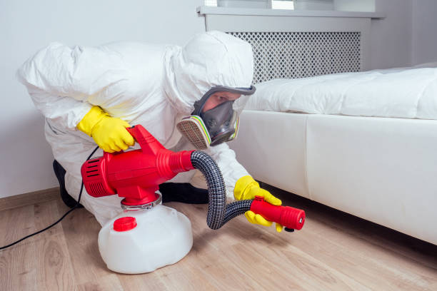 Reliable Lyons, CO Pest Control Solutions