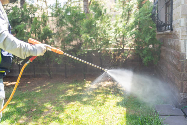 Best Best Pest Control Companies  in Lyons, CO